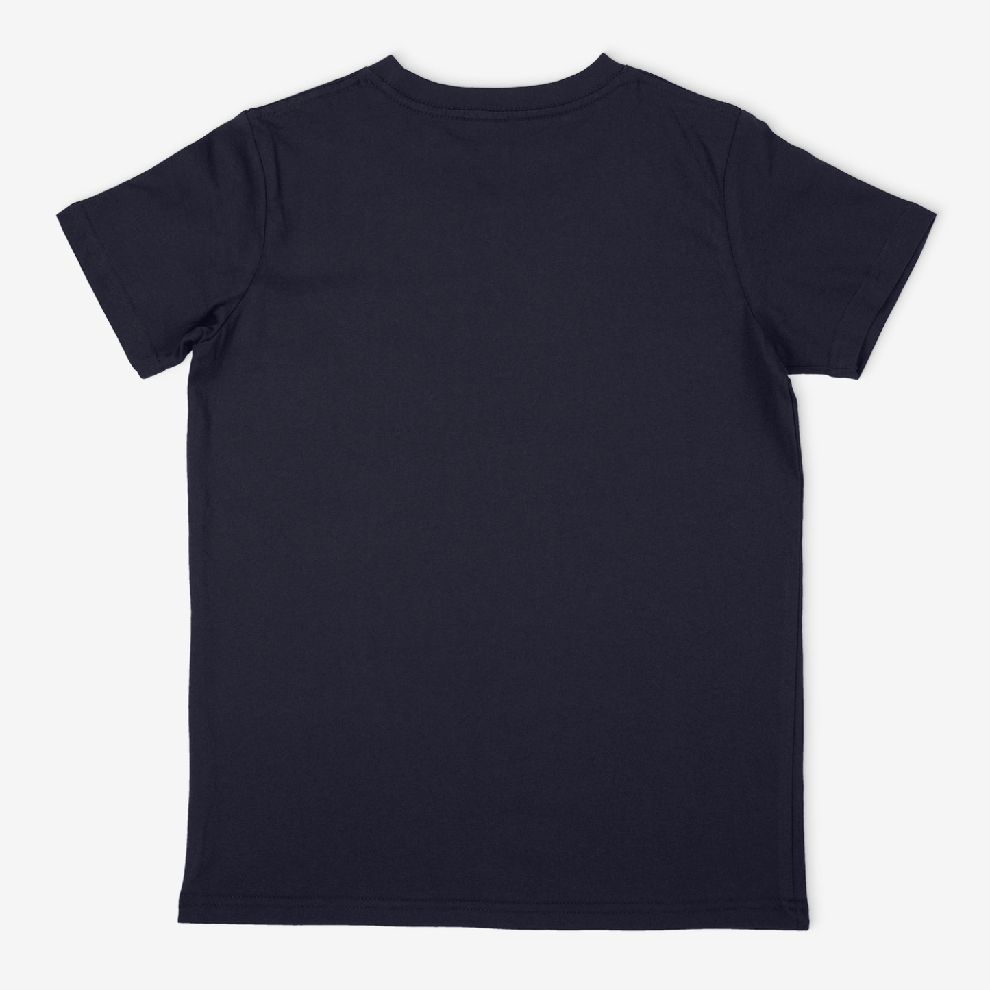 Indian Armour slogan t-shirt in regular fit