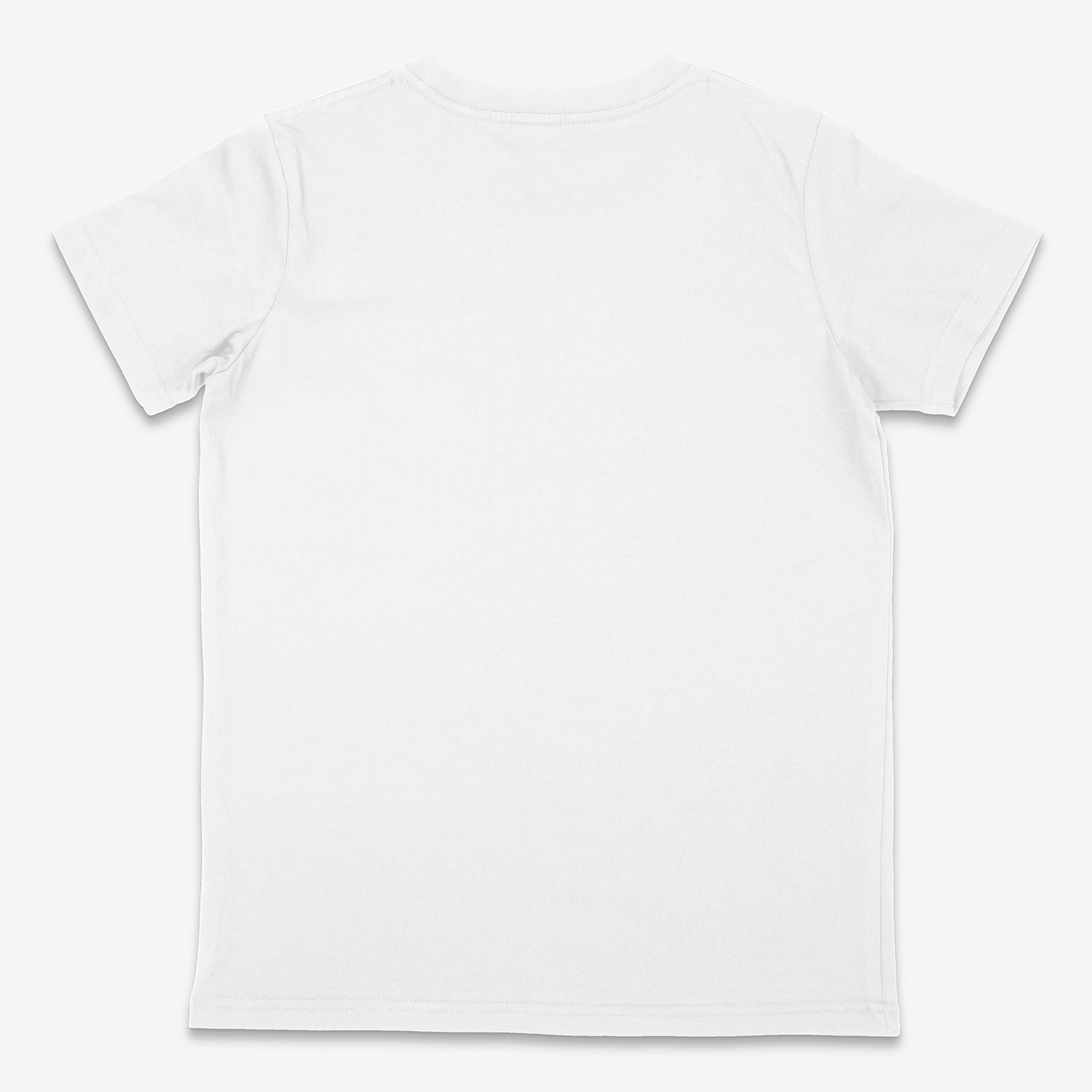 Indian Armour DNA regular fit t-shirt